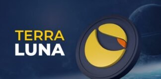 LUNA - La única criptomoneda que aumenta su valor